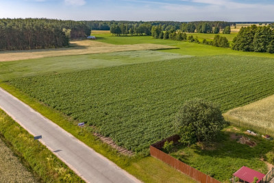 Spokój natura i wygoda-zamieszkaj w Kiełkowie - Kiełkowo  -
Wielkopolskie Zdjęcie nr 12