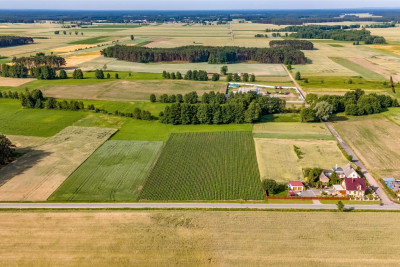 Spokój natura i wygoda-zamieszkaj w Kiełkowie - Kiełkowo  -
Wielkopolskie Zdjęcie nr 3