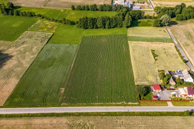 Spokój natura i wygoda-zamieszkaj w Kiełkowie - Kiełkowo  -
Wielkopolskie Zdjęcie nr 4