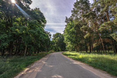 Spokój natura i wygoda-zamieszkaj w Kiełkowie - Kiełkowo  -
Wielkopolskie Zdjęcie nr 9