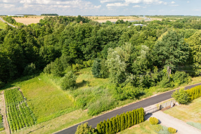 Działka ze stawem poniżej 100 tysięcy - Babsk  -
Łódzkie Zdjęcie nr 3