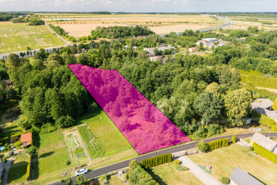 Działka ze stawem poniżej 100 tysięcy - Babsk  -
Łódzkie Zdjęcie nr 4