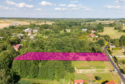 Działka ze stawem poniżej 100 tysięcy - Babsk  -
Łódzkie Zdjęcie nr 8