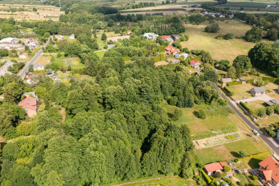 Działka ze stawem poniżej 100 tysięcy - Babsk  -
Łódzkie Zdjęcie nr 9