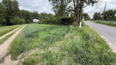 Stare Skoszewy Działka z duszą i widokiem - Stare Skoszewy  -
Łódzkie Zdjęcie nr 2