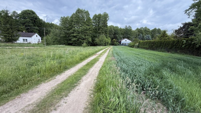 Stare Skoszewy Działka z duszą i widokiem - Stare Skoszewy  -
Łódzkie Zdjęcie nr 5