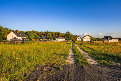 Działka z warunkami zabudowy pod dom  Łomnica - Łomnica  -
Wielkopolskie Zdjęcie nr 7