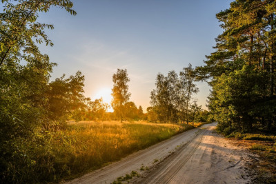 2 kroki do lasu 5 min od miasta - Nowy Dwór  -
Wielkopolskie Zdjęcie nr 12
