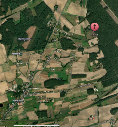 Widok na las 5 min od miasta - Nowy Dwór  -
Wielkopolskie Zdjęcie nr 2