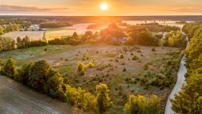 2 kroki do lasu 5 min od miasta - Nowy Dwór  -
Wielkopolskie Zdjęcie nr 3
