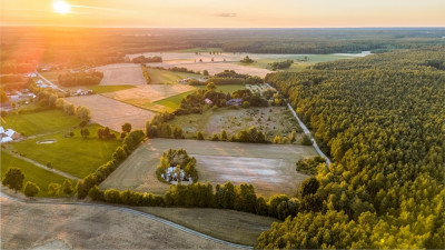 2 kroki do lasu 5 min od miasta - Nowy Dwór  -
Wielkopolskie Zdjęcie nr 5
