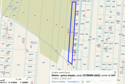 Rozpal grilla jeszcze tego lata w Czyżeminie - Czyżemin  -
Łódzkie Zdjęcie nr 5