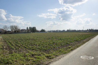Blat do kuchni ogarniesz za płotem-818 m pod dom - Studzian  - Podkarpackie