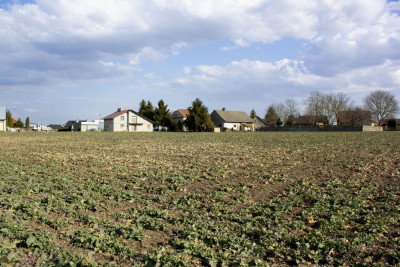 Blat do kuchni ogarniesz za płotem-818 m pod dom - Studzian  -
Podkarpackie Zdjęcie nr 3