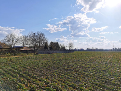 Blat do kuchni ogarniesz za płotem-818 m pod dom - Studzian  -
Podkarpackie Zdjęcie nr 4
