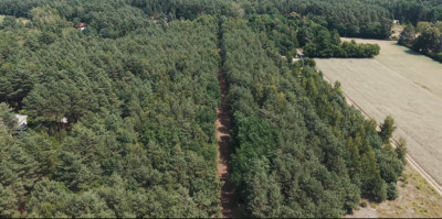 Działki budowlane Bądzyń - od 149 złm MPZP - Bądzyń  -
Łódzkie Zdjęcie nr 3