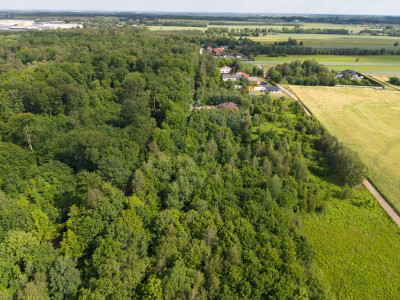 Wyjątkowa działka tuż przy rezerwacie przyrody - Ksawerów  -
Łódzkie Zdjęcie nr 10