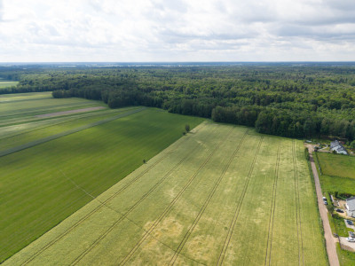 Wyjątkowa działka tuż przy rezerwacie przyrody - Ksawerów  -
Łódzkie Zdjęcie nr 12