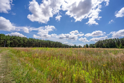 3 lub 6 domów Ty zdecyduj - Dąbrówka Wielkopolska  -
Lubuskie Zdjęcie nr 10