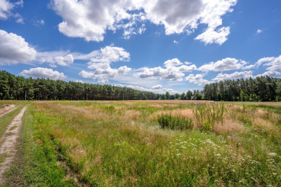 3 lub 6 domów Ty zdecyduj - Dąbrówka Wielkopolska  -
Lubuskie Zdjęcie nr 12