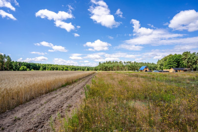 3 lub 6 domów Ty zdecyduj - Dąbrówka Wielkopolska  -
Lubuskie Zdjęcie nr 14