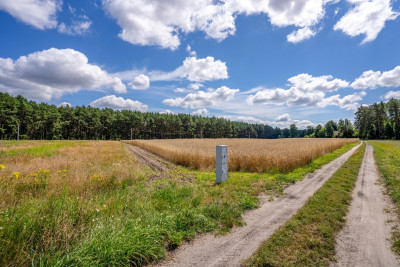 3 lub 6 domów Ty zdecyduj - Dąbrówka Wielkopolska  -
Lubuskie Zdjęcie nr 6