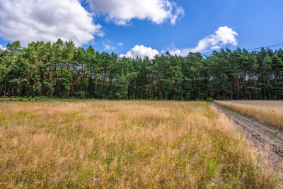 3 lub 6 domów Ty zdecyduj - Dąbrówka Wielkopolska  -
Lubuskie Zdjęcie nr 7