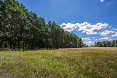 3 lub 6 domów Ty zdecyduj - Dąbrówka Wielkopolska  -
Lubuskie Zdjęcie nr 9