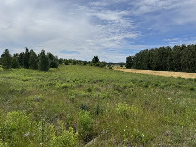 DZIAŁKA ROLNA NR 11211 O POWIERZCHNI 7 256 m  N - Natolin  - Łódzkie
