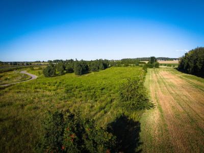 DZIAŁKA ROLNA NR 11211 O POWIERZCHNI 7 256 m  N - Natolin  -
Łódzkie Zdjęcie nr 7