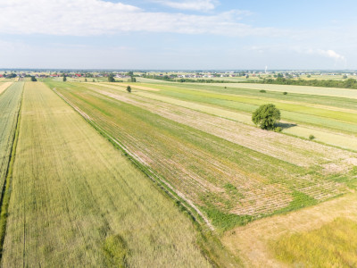 Spokój Longinówki Wygoda Piotrkowa - Longinówka  - Łódzkie