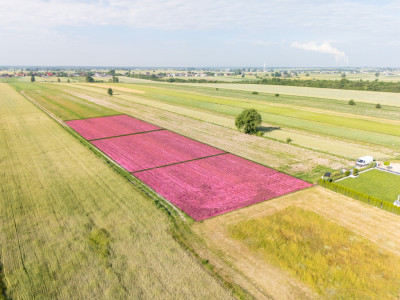 Spokój Longinówki Wygoda Piotrkowa - Longinówka  -
Łódzkie Zdjęcie nr 2