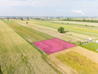 Spokój Longinówki Wygoda Piotrkowa - Longinówka  -
Łódzkie Zdjęcie nr 3