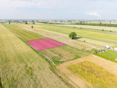Spokój Longinówki Wygoda Piotrkowa - Longinówka  -
Łódzkie Zdjęcie nr 4