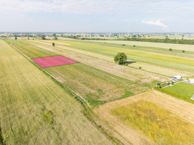 Spokój Longinówki Wygoda Piotrkowa - Longinówka  -
Łódzkie Zdjęcie nr 5