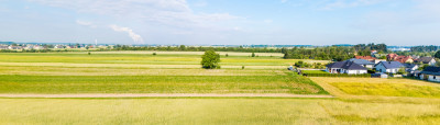 Spokój Longinówki Wygoda Piotrkowa - Longinówka  -
Łódzkie Zdjęcie nr 7