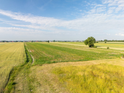 Spokój Longinówki Wygoda Piotrkowa - Longinówka  -
Łódzkie Zdjęcie nr 8