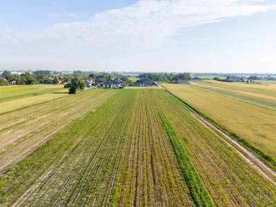 Spokój Longinówki Wygoda Piotrkowa - Longinówka  -
Łódzkie Zdjęcie nr 9