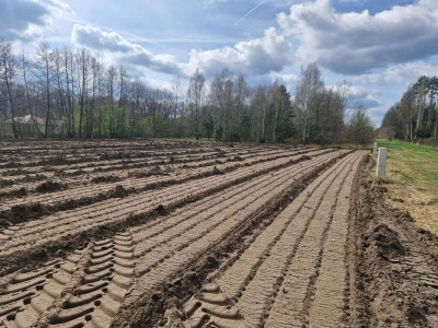 Działka 3000 mkw - w Świdnicy k Zielonej Góry - Świdnica  -
Lubuskie Zdjęcie nr 5