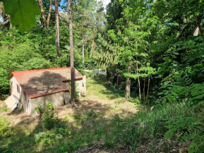 Zgrabna działka na Twój nowy dom - Grotniki  -
Łódzkie Zdjęcie nr 2