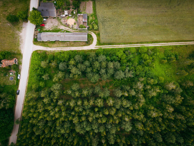 Działki budowlane w Kwilnie  spokój i natura - Kwilno  -
Łódzkie Zdjęcie nr 13