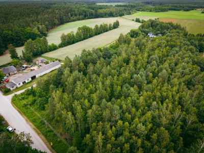 Działki budowlane w Kwilnie  spokój i natura - Kwilno  -
Łódzkie Zdjęcie nr 14