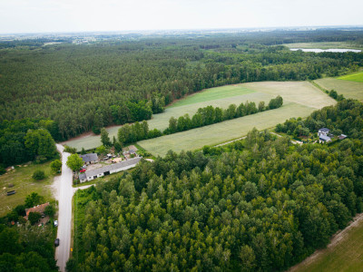 Działki budowlane w Kwilnie  spokój i natura - Kwilno  -
Łódzkie Zdjęcie nr 5