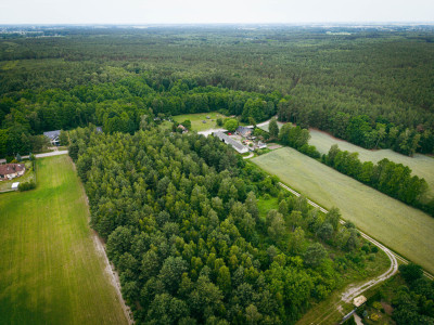 Działki budowlane w Kwilnie  spokój i natura - Kwilno  -
Łódzkie Zdjęcie nr 6