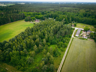 Działki budowlane w Kwilnie  spokój i natura - Kwilno  -
Łódzkie Zdjęcie nr 8