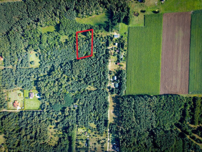Działka 3960 m2 pod budowę domu z własnym lasem - Pelagia  - Łódzkie