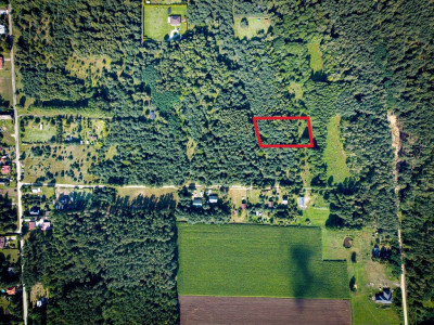 Działka 3960 m2 pod budowę domu z własnym lasem - Pelagia  -
Łódzkie Zdjęcie nr 2