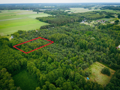 Działka 3960 m2 pod budowę domu z własnym lasem - Pelagia  -
Łódzkie Zdjęcie nr 3