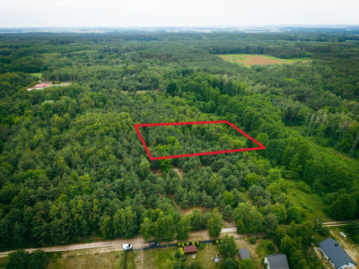 Działka 3960 m2 pod budowę domu z własnym lasem - Pelagia  -
Łódzkie Zdjęcie nr 4