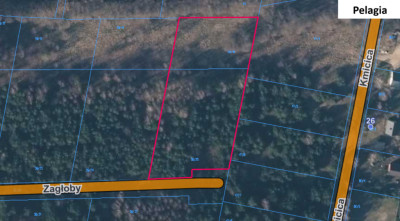 Działka 3960 m2 pod budowę domu z własnym lasem - Pelagia  -
Łódzkie Zdjęcie nr 5